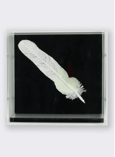 Sulphur Crested Cockatoo Feather 3D Sculptural Embroidery. Embroidery