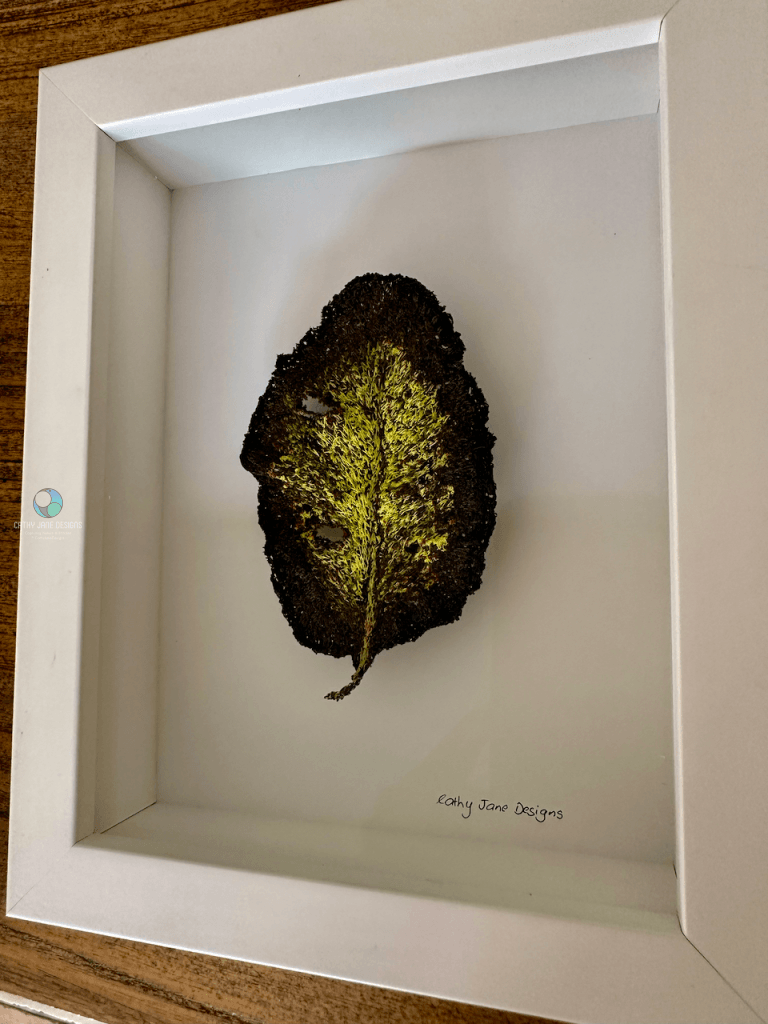 Taraire Leaf Sculptural Embroidery Sculptured Embroidery Flora