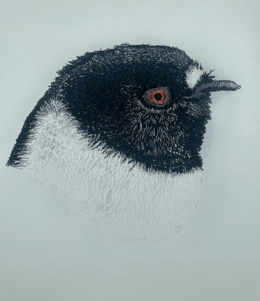 Tomtit Limited Edition Fine Art Print