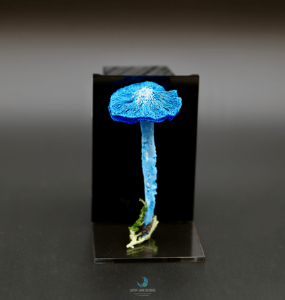 Werewere-Kokako Fungi #2 3D Sculptural Embroidery