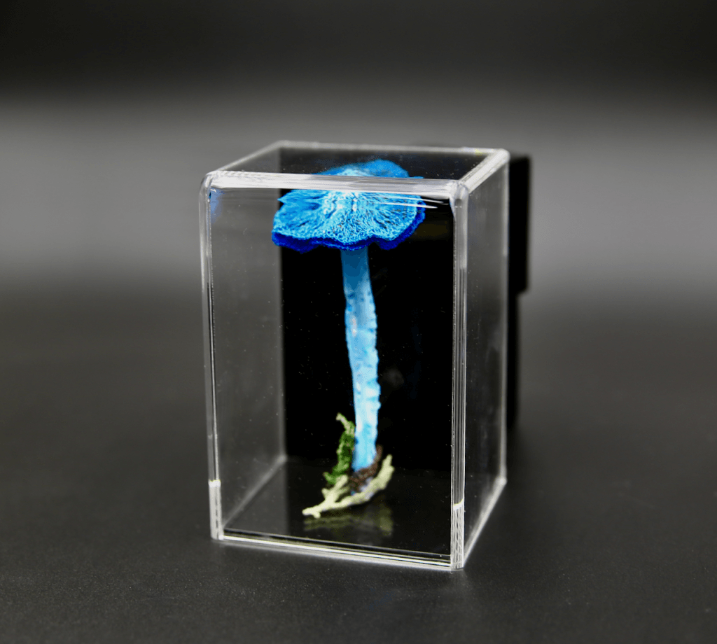 Werewere-Kokako Fungi #2 3D Sculptural Embroidery