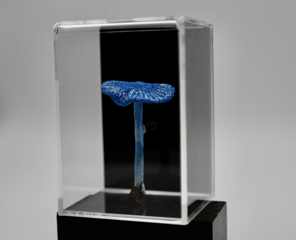 Werewere-Kokako Fungi #3 3D Sculpture Sculptural Embroidery